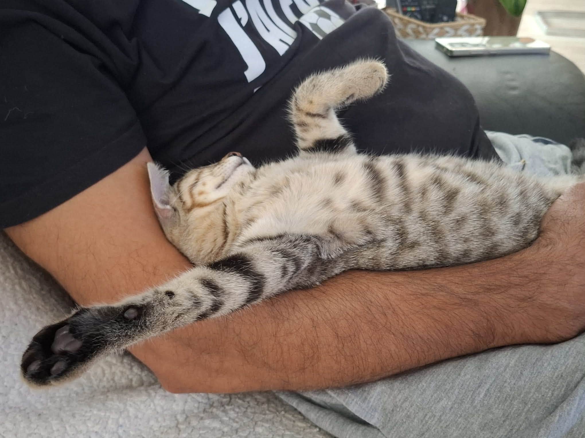 Un grand merci à nos adoptants