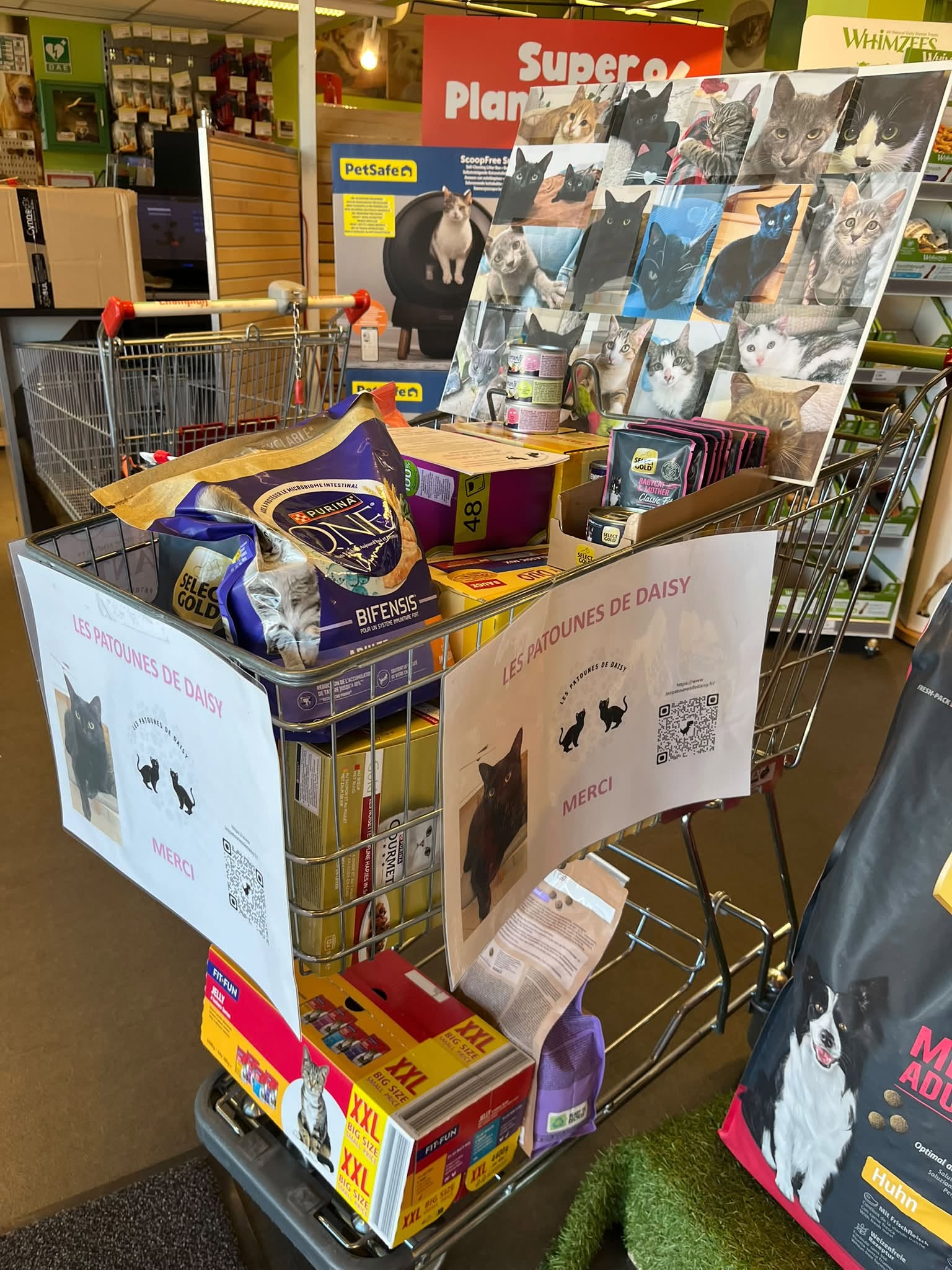 Un immense merci à Maxi Zoo Anthy sur Leman